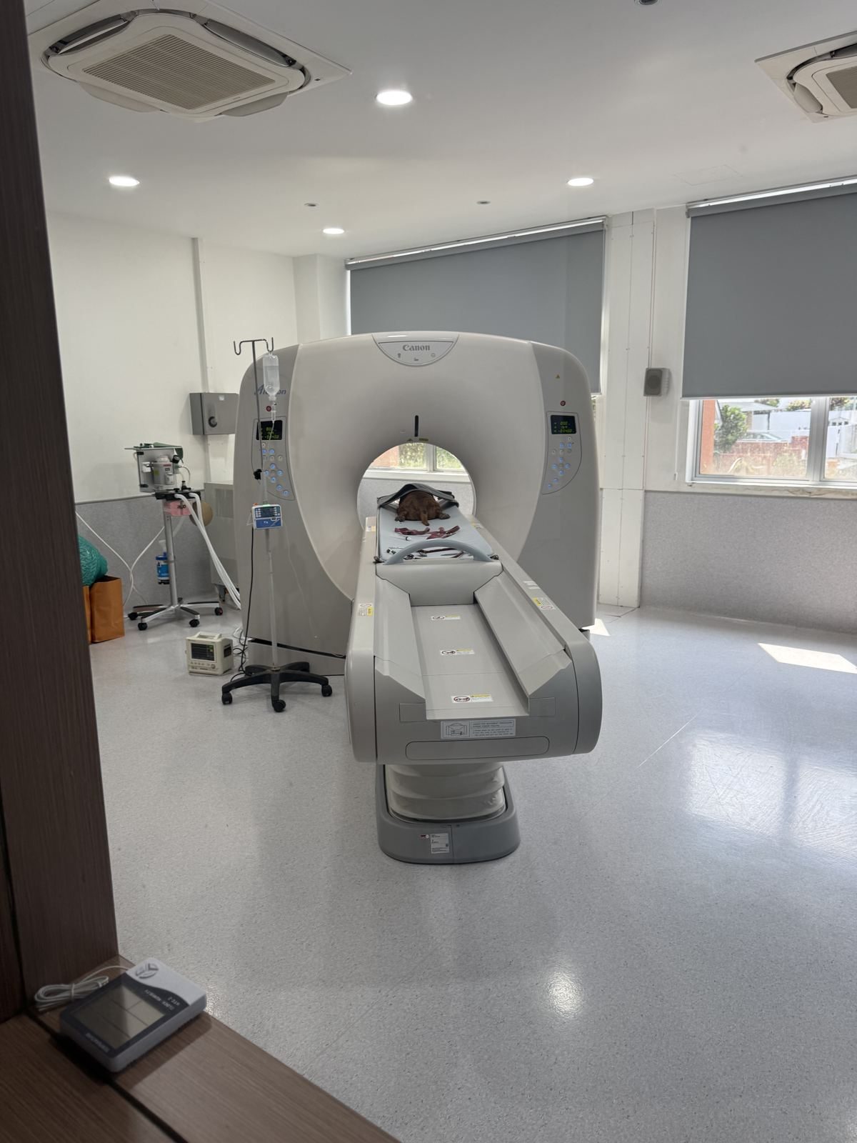 CT scanner in the imaging suite at Gasing Veterinary Hospital